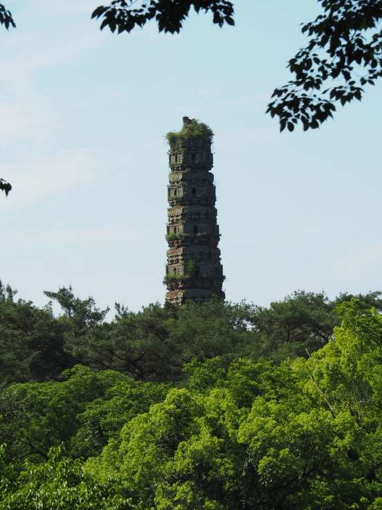 微信图片_20200706114531(1)(1).jpg 微信图片_20200706114531(1)(1).jpg