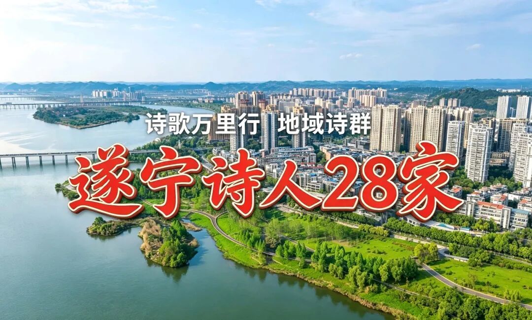 遂宁诗人28家.jpg